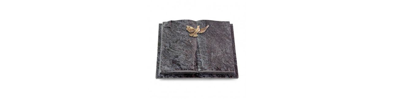 Livre Auris